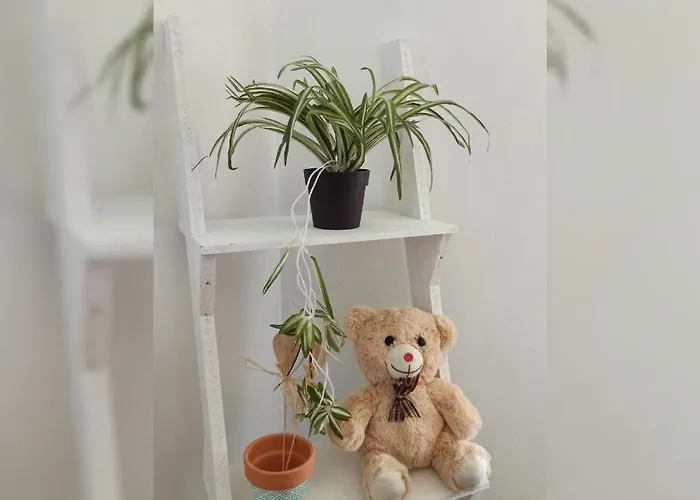 Martha's Place Drac Daire Podgoriçe